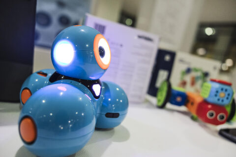 Dash-Lernroboter ©FAU/Giulia Iannicelli